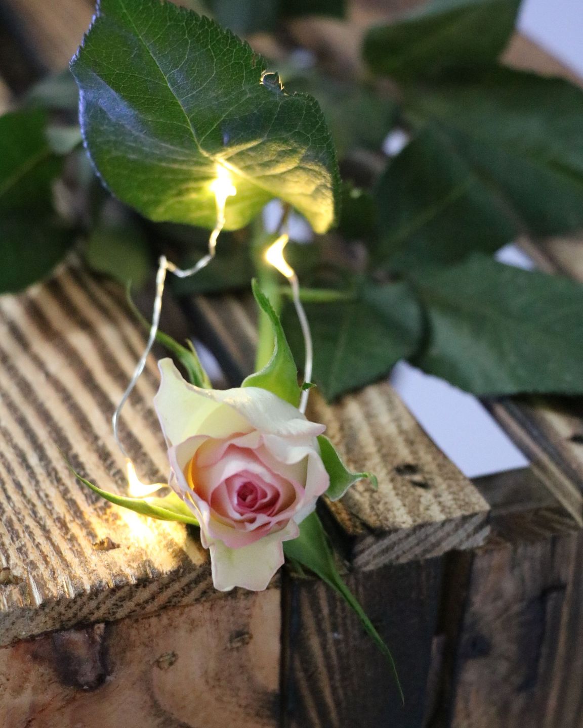 LED drucik srebrny ciepłe 10 diod 1 m AA TIMER LED wire silver warm 10 light 1m 23139356 AA TIMER - obrazek 2