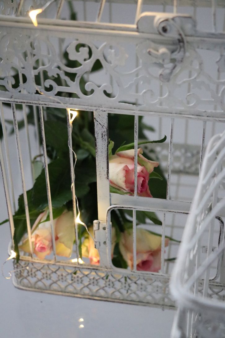 LED drucik srebrny ciepłe 10 diod 1 m AA TIMER LED wire silver warm 10 light 1m 23139356 AA TIMER - obrazek 3