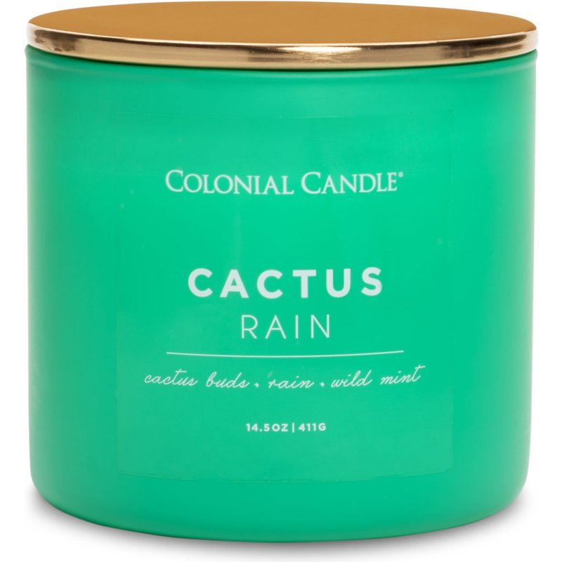 ŚWIECZKA zapachowa Pop Of Color Cactus Rain CANDLE Pop Of Color 14.5 oz - Cactus Rain - obrazek 2