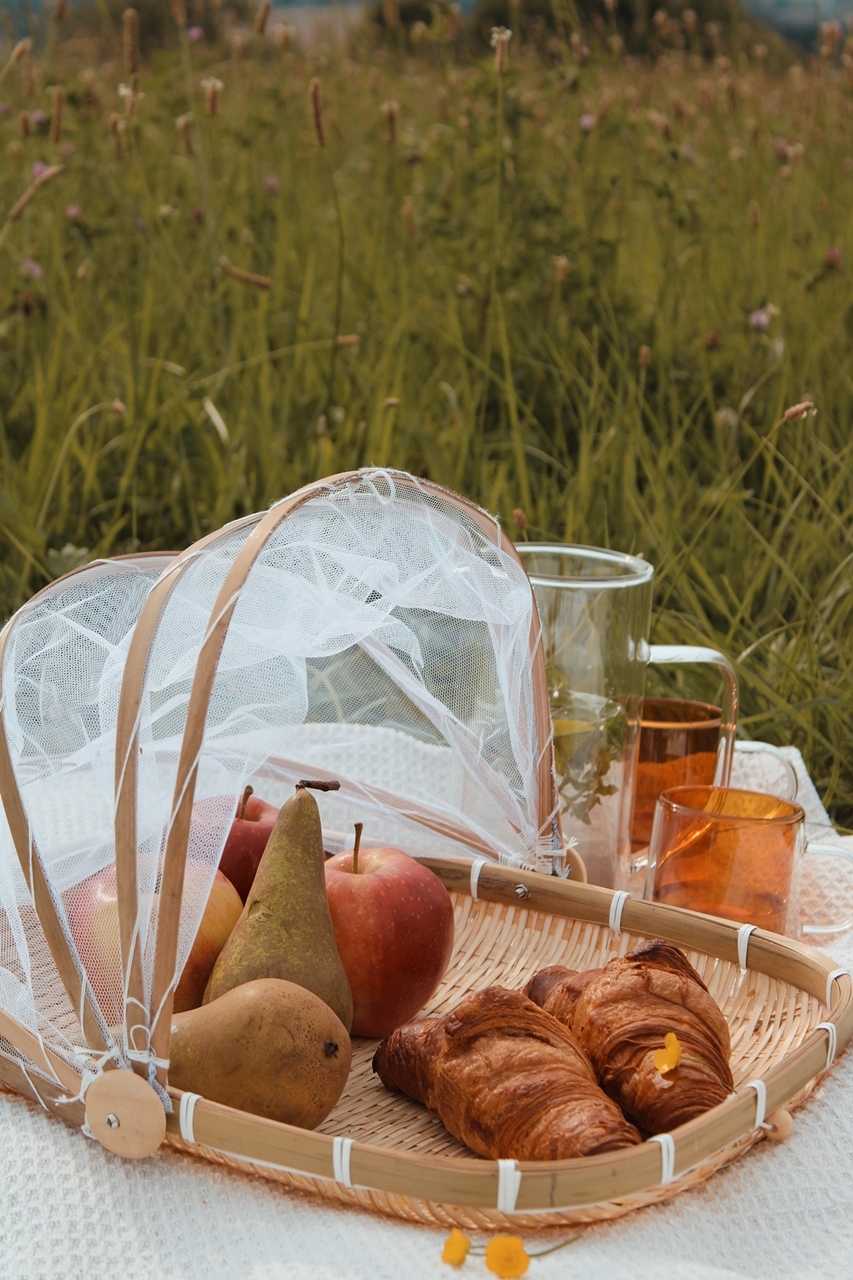 MPLCo NATURAL zestaw 3 tac z moskitierą MPLCo NATURAL 3 pcs tray set with net - obrazek 3