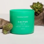 ŚWIECZKA zapachowa Pop Of Color Cactus Rain CANDLE Pop Of Color 14.5 oz - Cactus Rain