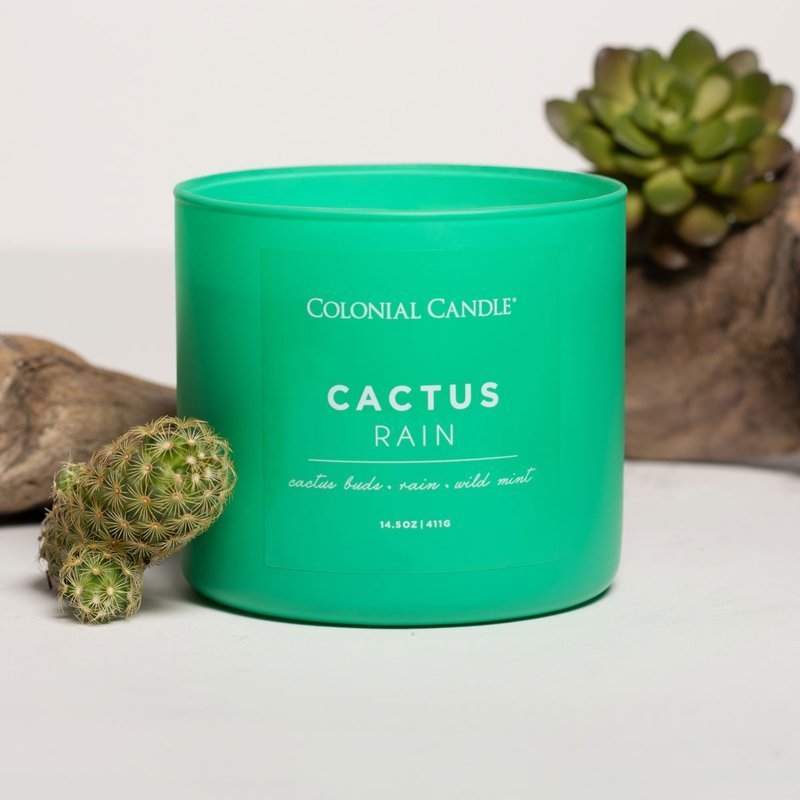 ŚWIECZKA zapachowa Pop Of Color Cactus Rain CANDLE Pop Of Color 14.5 oz - Cactus Rain