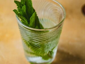 ARBRE long drink glass CRYSTAL ARBRE long drink glass CRYSTAL