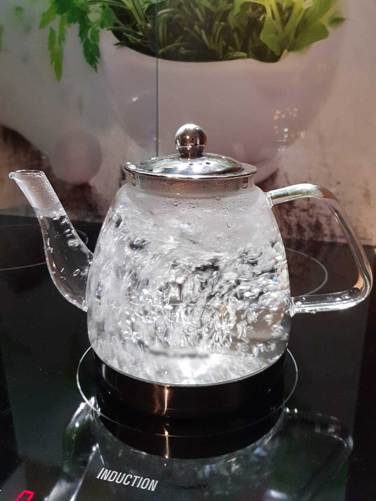 MPL szklany dzbanek zaparzacz 1,2 czajnik na induk MPL borosilicate glass kettle 1,2 inducio 22170999 - obrazek 2