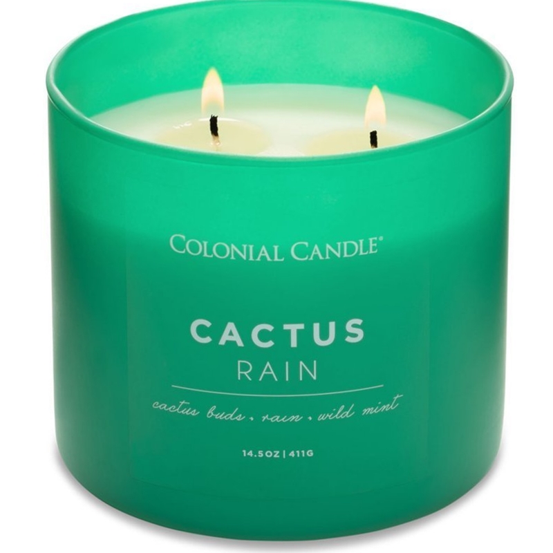 ŚWIECZKA zapachowa Pop Of Color Cactus Rain CANDLE Pop Of Color 14.5 oz - Cactus Rain - obrazek 3