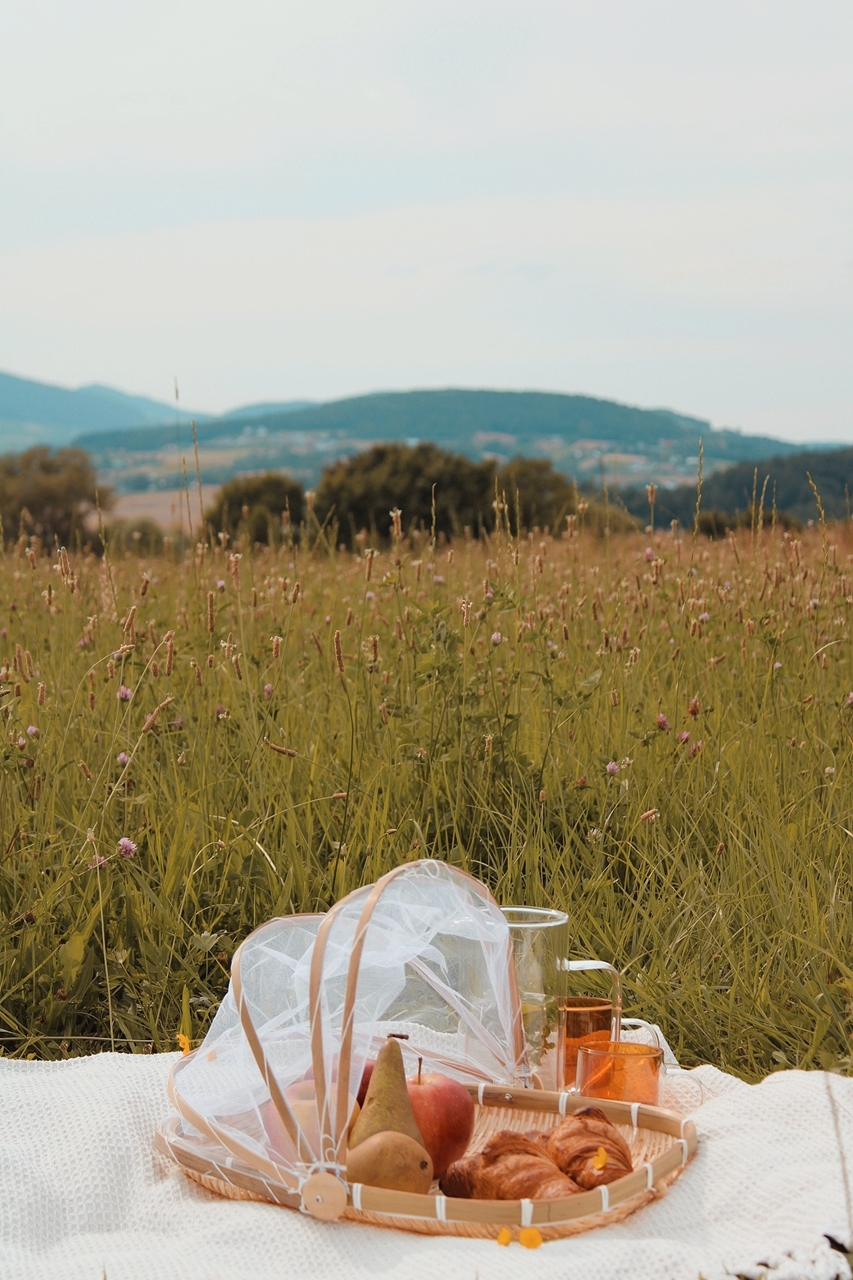 MPLCo NATURAL zestaw 3 tac z moskitierą MPLCo NATURAL 3 pcs tray set with net - obrazek 2