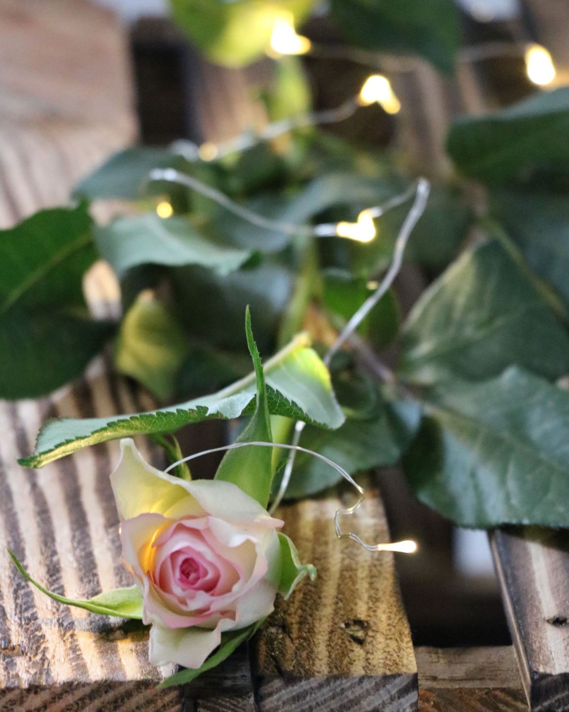 LED drucik srebrny ciepłe 10 diod 1 m AA TIMER LED wire silver warm 10 light 1m 23139356 AA TIMER