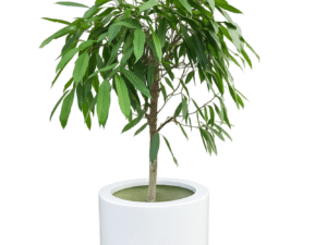 FLOWER POT polyester glossy white 9016 50x50 FLOWER POT polyester glossy white 9016 50x50