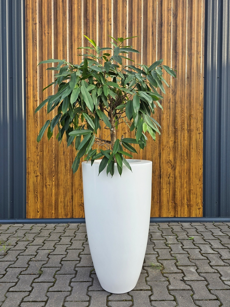 DONICA poliestrowa POŁYSK BIAŁY 50x88 FLOWER POT polyester glossy white 9016 50x88 - obrazek 3