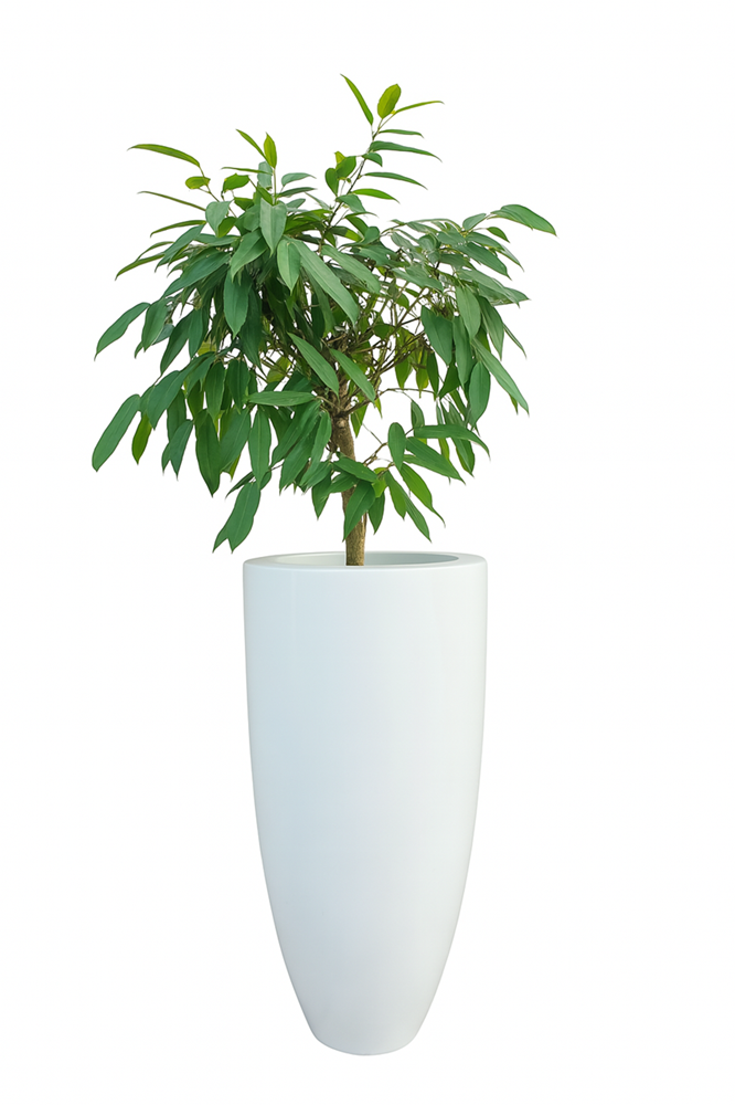 DONICA poliestrowa POŁYSK BIAŁY 50x88 FLOWER POT polyester glossy white 9016 50x88