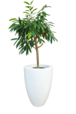 FLOWER POT polyester glossy white 9016 50x57 FLOWER POT polyester glossy white 9016 50x57