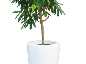 FLOWER POT polyester glossy white 9016 50x57 FLOWER POT polyester glossy white 9016 50x57