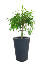 DONICA poliestrowa MAT GRAFIT 55x77 FLOWER POT polyester mat graphite 7021 55x77