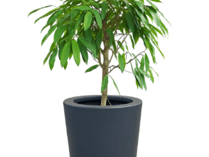 DONICA poliestrowa MAT GRAFIT 55x77 FLOWER POT polyester mat graphite 7021 55x77