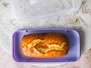 GADGET pojemnik do przechowywania ciasta PROSTOKĄT GADGET cake storage box 1 level RECTAN 24532714