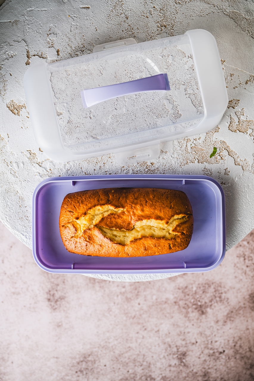 GADGET pojemnik do przechowywania ciasta PROSTOKĄT GADGET cake storage box 1 level RECTAN 24532714