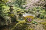Porcelana ORIENT zestaw 6 czarek skośne 70 ml Porcelain ORIENT set of 6 cups V shape 70 ml